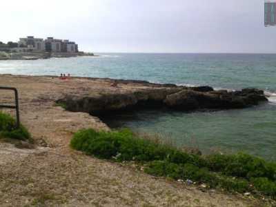 La costa di Palese, anch�essa rocciosa, si sviluppa per 3 chilometri ed � caratterizzata dai tanti soprannomi assegnati a ogni tratto di mare libero. Si va dalla �punta� (uno dei pochi tratti con un fondale sabbioso)...